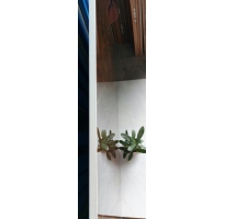 Gạch nhập khẩu 80x80 bến tre 