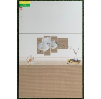 Gạch ốp đẹp 30x60 gạch ốp lát tân đức giá rẻ