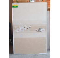 Gạch ốp giá rẻ 30x60 trần đại nghĩa rẻ nhất