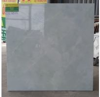 Gạch bóng kiếng 60x60 nguyễn hữu trí giá rẻ
