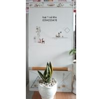 Gạch ốp cao cẤp 240x60 loại 1 Giảm giá 