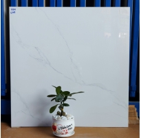 Gạch Bóng Kiếng 60x60 Trắng Vân Khói