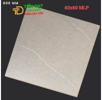 Kho Gạch Ốp Lát Apodio 60x60 Đá Mờ Mẫu Mới Giá Rẻ