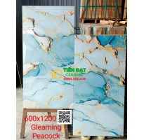 Tổng Kho Gạch Ấn Độ 60x120 Trang Trí Tại Bình Trị Đông 