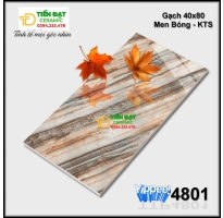 Gạch Ốp Trụ Cổng Mặt Tiền 40x80 Bóng Kính Xả Kho Giá Rẻ