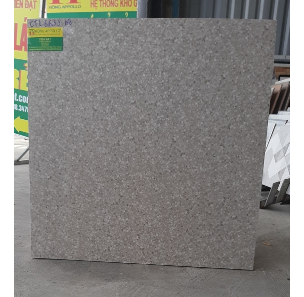 Gạch lát nền giá rẻ 60x60 trần đại nghĩa