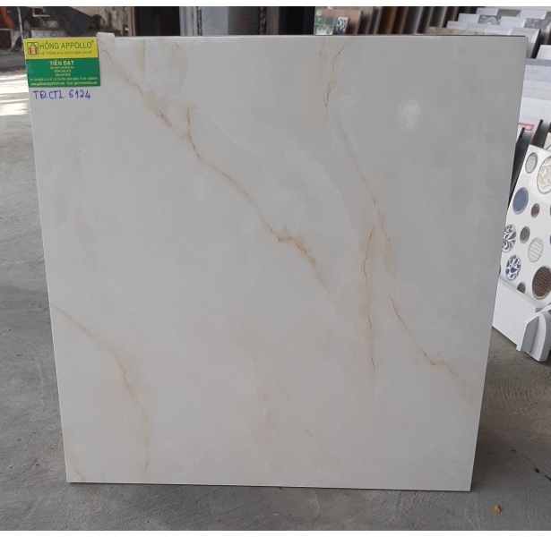 Gạch lát nền 60x60 vân vàng mới nhất
