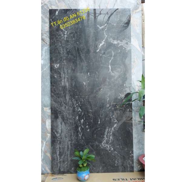 Gạch Bóng Kiếng 60x120 Giá Rẻ HCM