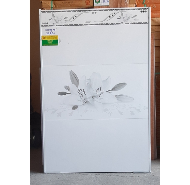 Gạch ốp giá rẻ 30x60 tân đức-rẻ nhất long an