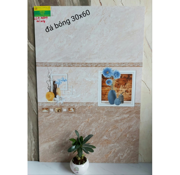 Đá Ốp Lát 30x60 Bóng Kiếng Cao Cấp
