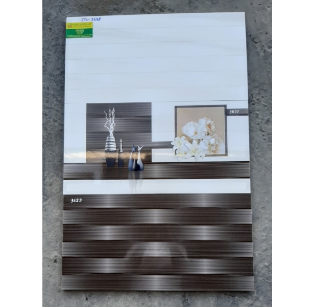 Gạch ốp giá rẻ 30x60 nguyễn thị tu