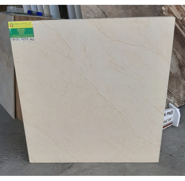 Gạch lát nền 60x60 vân đá mờ tồn kho