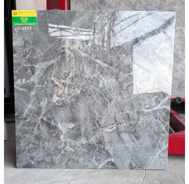 Gạch bóng kiếng 60x60 vân giả đá quận 2