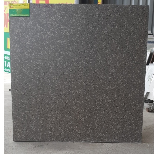 Gạch cao cấp 60x60 long an giá rẻ