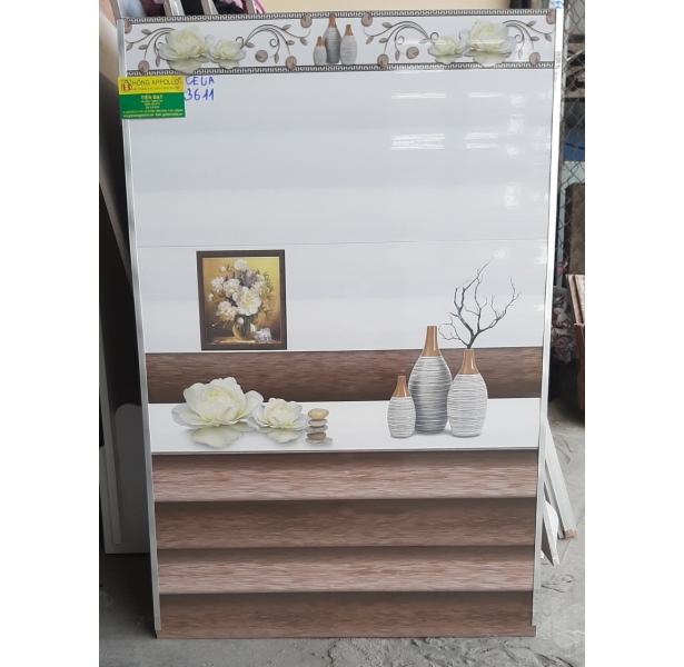 Gạch ốp tường cao cẤp 240x60 bình tân