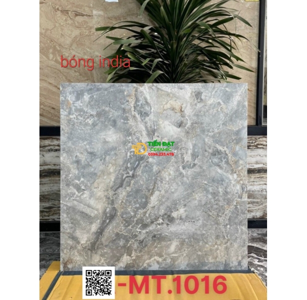 Gạch Ốp Tường 100x100 Nhập Khẩu Ấn Độ Giá Rẻ