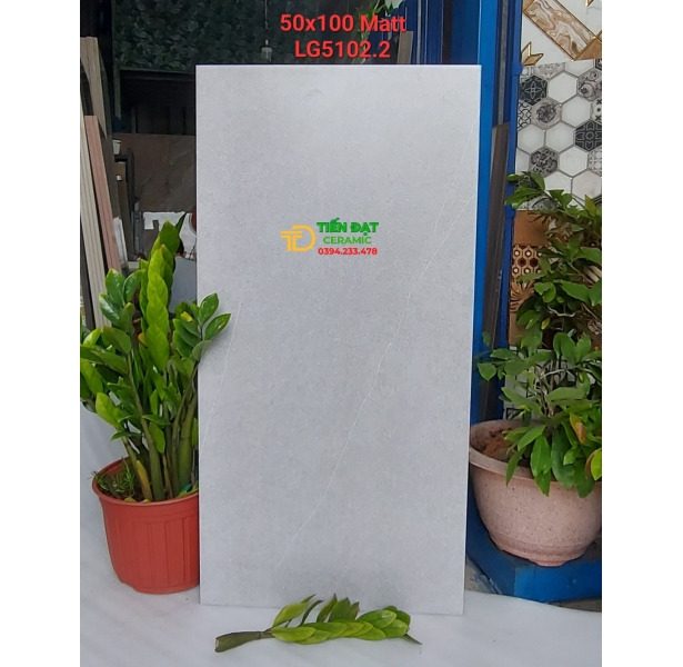 Đá Mờ Matt 50x100 Ốp Lát Phòng Khách Cao Cấp