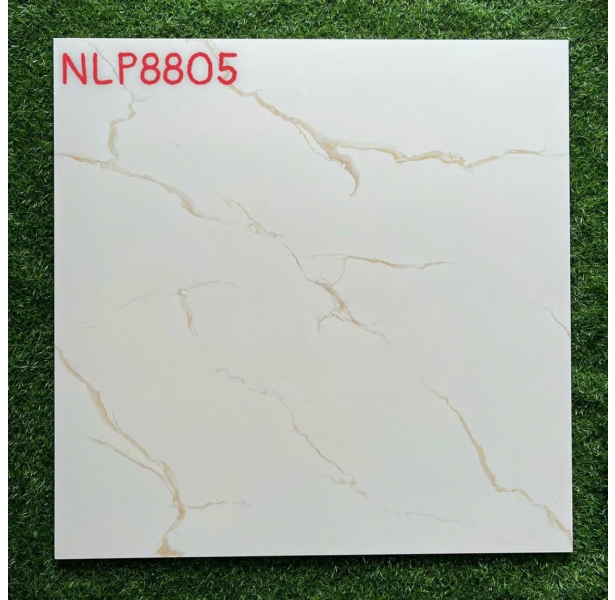 Kho Gạch Lát Nền 80x80 Bóng Kiếng Tại Tây Ninh