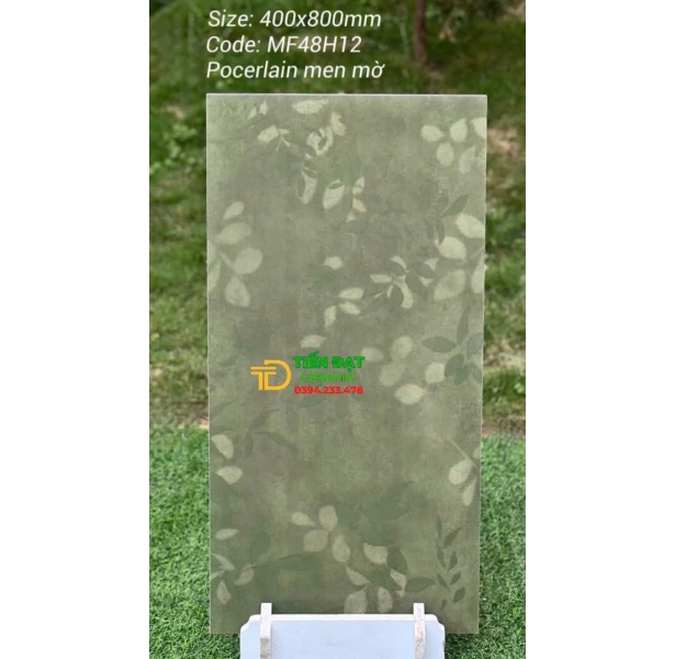 Gạch Ốp Tường 40x80 Đá Mờ Rải Hạt Bông Hoa Trang Trí Đẹp