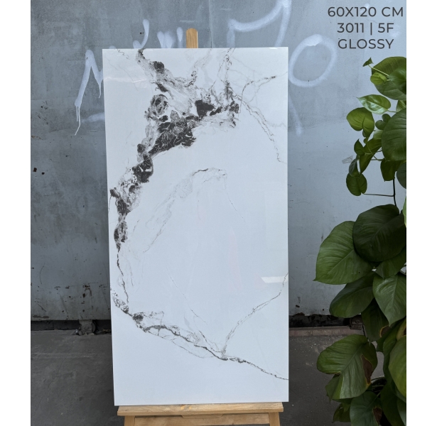 Gạch Bóng Kiếng Kim Cương 60x120 Ốp Lát Giá Rẻ