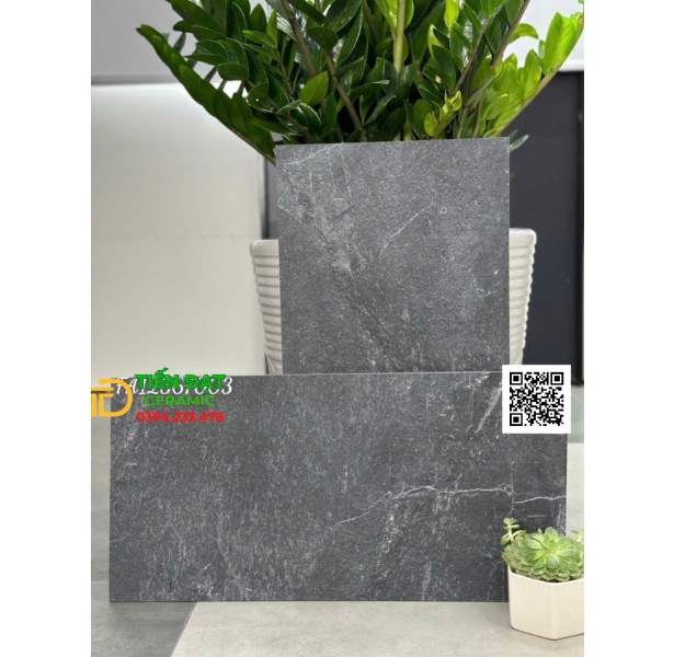 Gạch Apodio 30x60 Đá Mờ Ốp Lát Giá Rẻ Nhất