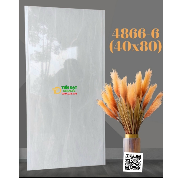 Gạch Nhập Khẩu Cao Cấp 40x80 Bóng Kiếng Giá Rẻ