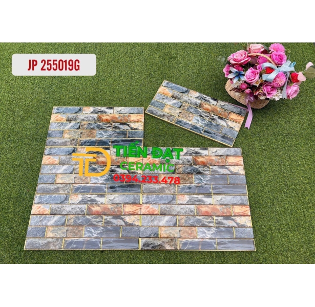 Gạch Nhũ Vàng 25x50 Ốp Trường Điểm Nhất Mẫu Mới