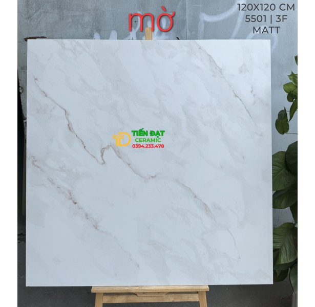 Tổng  Đại Lý Gạch Ấn Độ 120x120 Đá Mờ Matt Cao Cấp